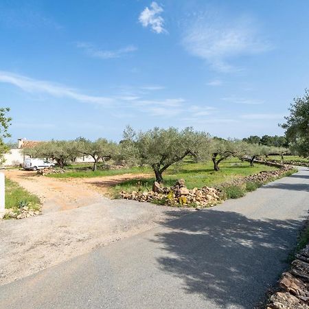 Casa En Olivera A 3 Km De La Costa El Perelló Dış mekan fotoğraf