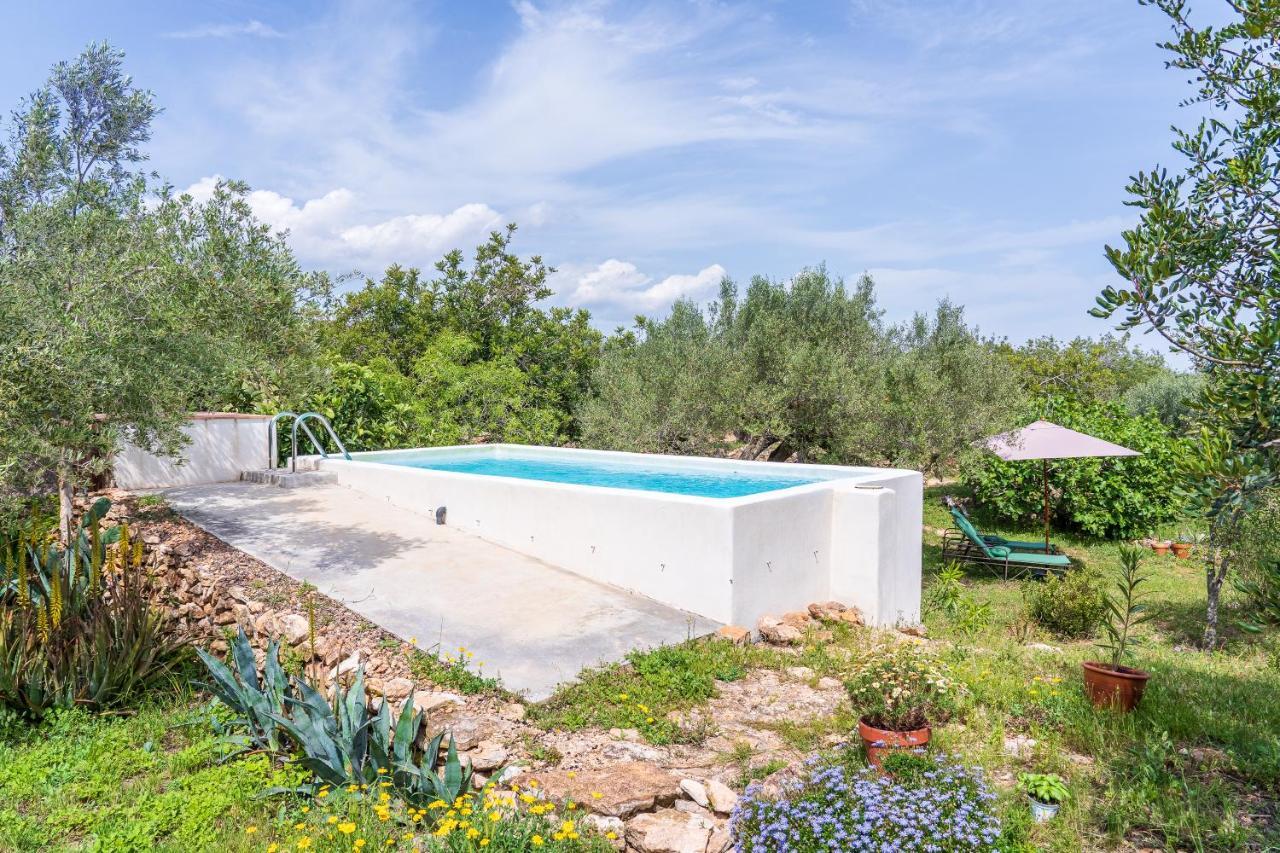 Casa En Olivera A 3 Km De La Costa El Perelló Dış mekan fotoğraf
