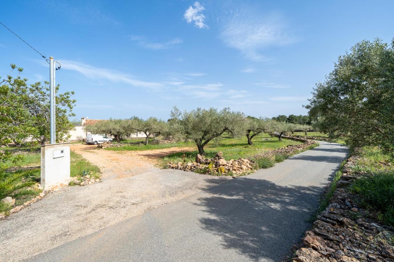 Casa En Olivera A 3 Km De La Costa El Perelló Dış mekan fotoğraf