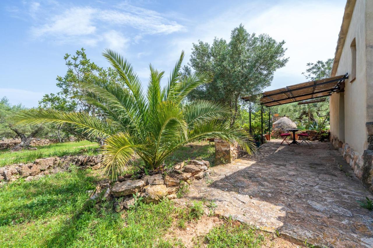 Casa En Olivera A 3 Km De La Costa El Perelló Dış mekan fotoğraf